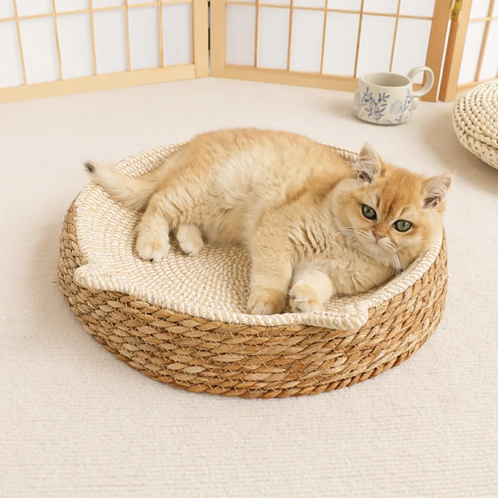 Cama Sofá para Gatos e Cães com Corda de Algodão Resistente a Arranhões - Image 6
