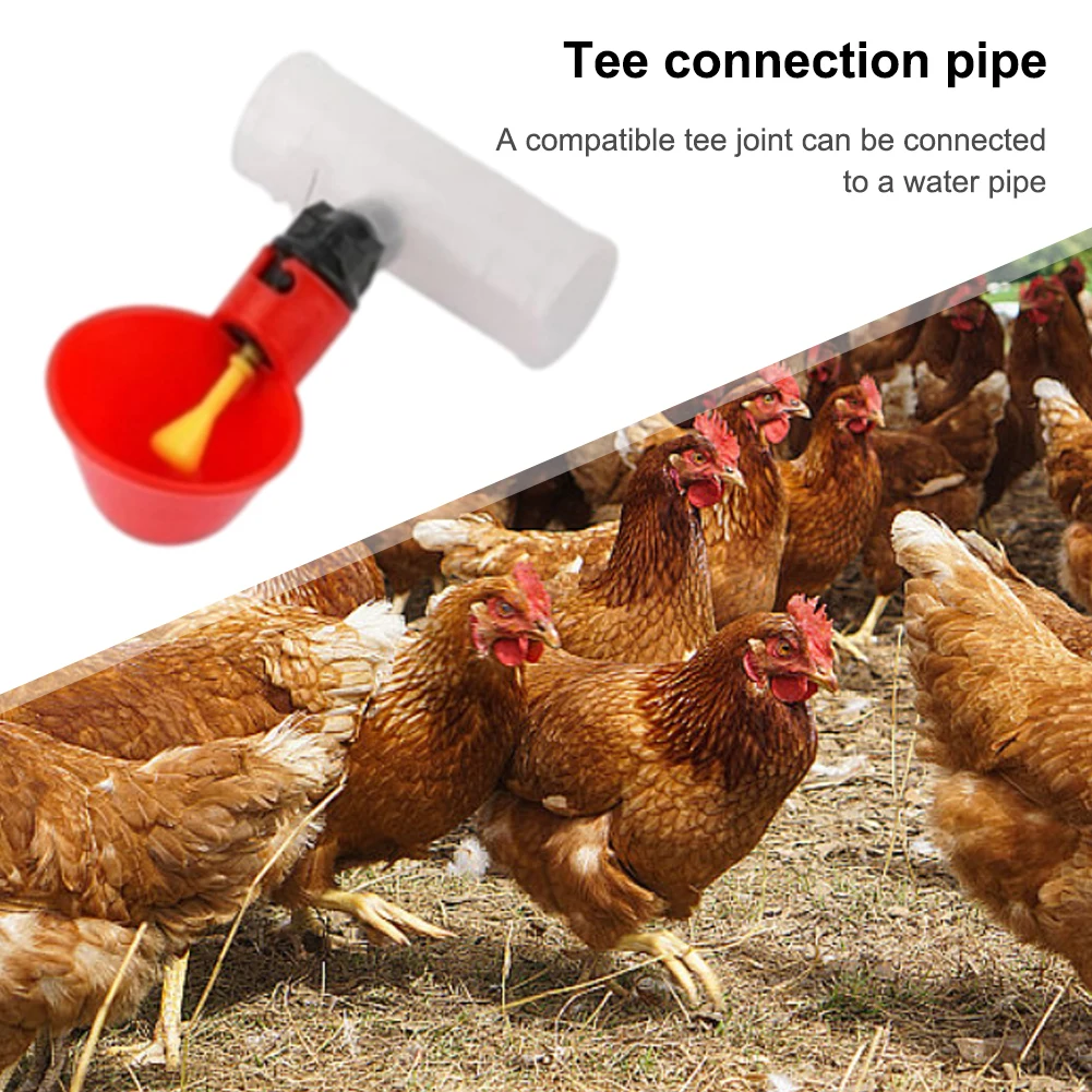 Conector T Plástico para Bebedouro de Aves 20mm com Instalação Fácil - Imagem 2