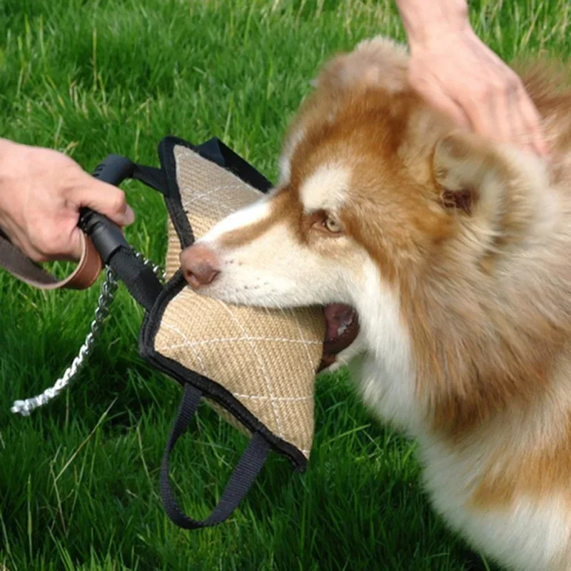 Almofada de Juta para Cães Médios e Grandes com Alças Resistentes - Imagem 6