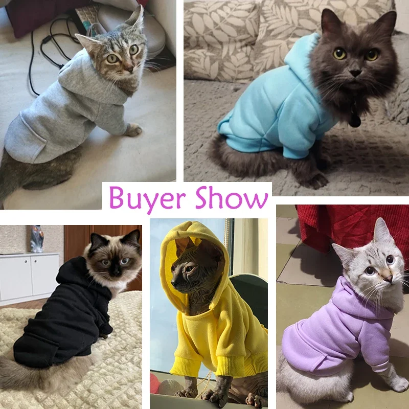 Roupa Pet para Cães e Gatos Pequenos Sólida - Imagem 3