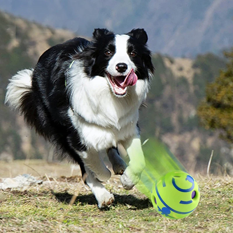 Brinquedo para Cães Wobble Wag Giggle Ball com Sons ao Rolar - Imagem 4
