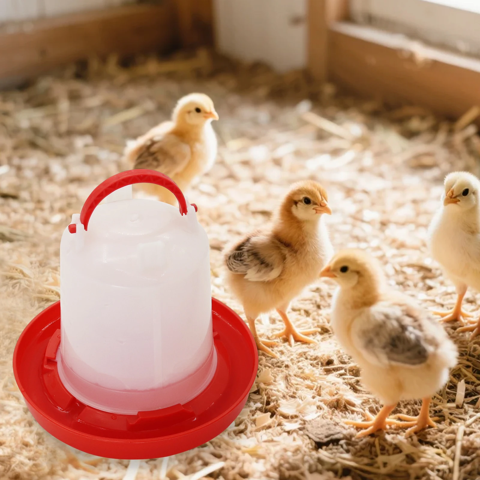 Comedouro e Bebedouro para Aves Suspenso para Ração e Água - Imagem 5
