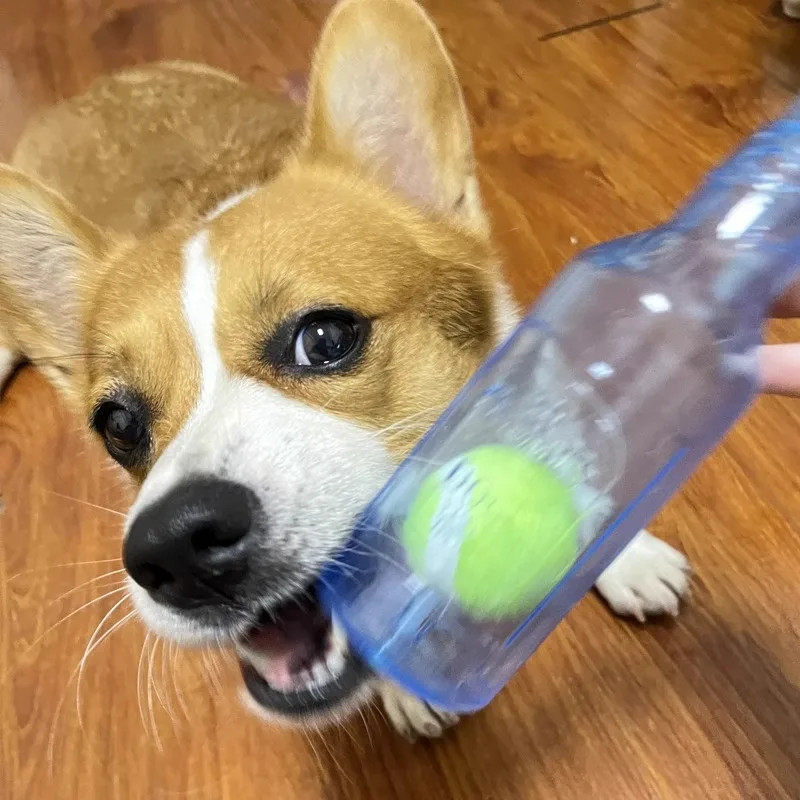 Brinquedo para Cães Garrafa TPR com Bola de Tênis 20 cm - Imagem 4