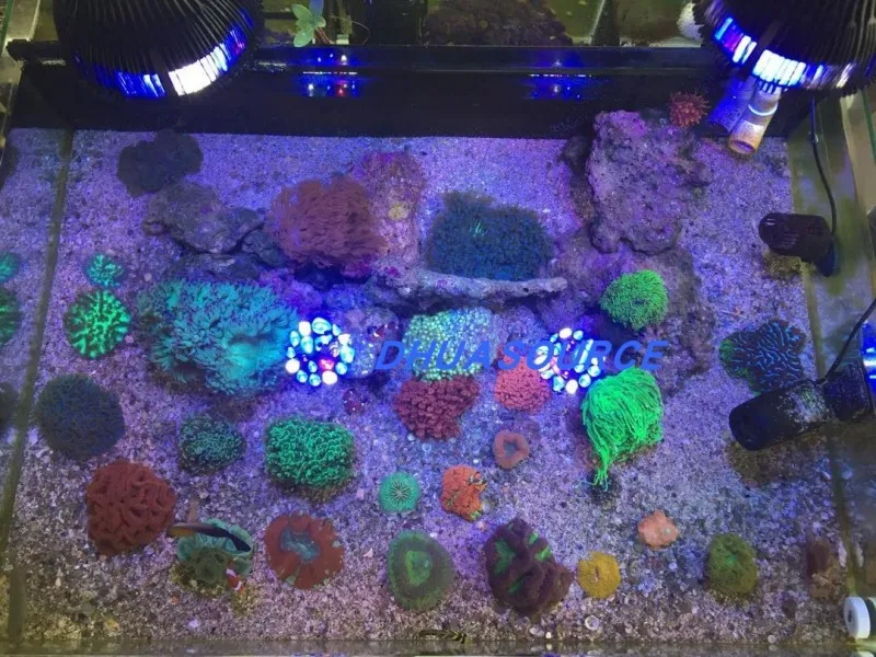 Lâmpada LED para Aquário de Recifes 18W, Espectro Completo para Tanques de 40-90 cm - Imagem 3