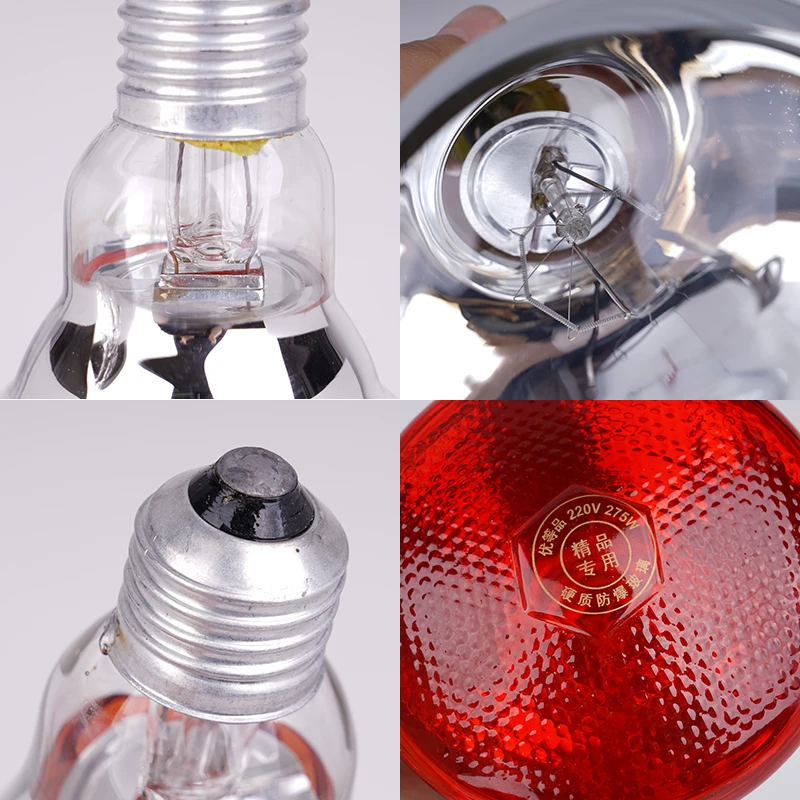 Lâmpada de Aquecimento Infravermelho para Aves e Répteis 220V 100W - Imagem 5