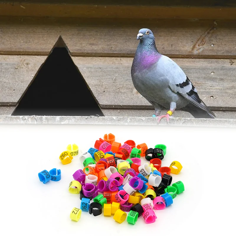 Anéis de Identificação para Pombos e Aves de Plástico Coloridos 100 Peças - Imagem 5