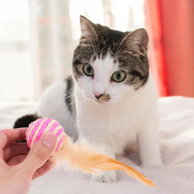 Brinquedo para Gatos Bola de Sisal com Pena 4,3 cm - Imagem 2