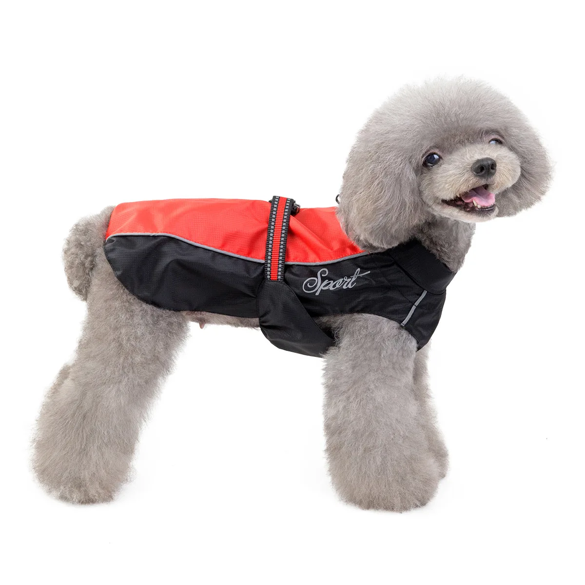 Capa de Chuva para Cães Grandes com Capuz Ajustável - Image 3