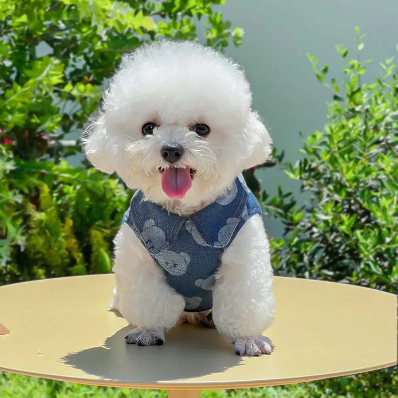 Coleira Peitoral Jeans para Cães e Gatos com Guia para Passeio - Imagem 5