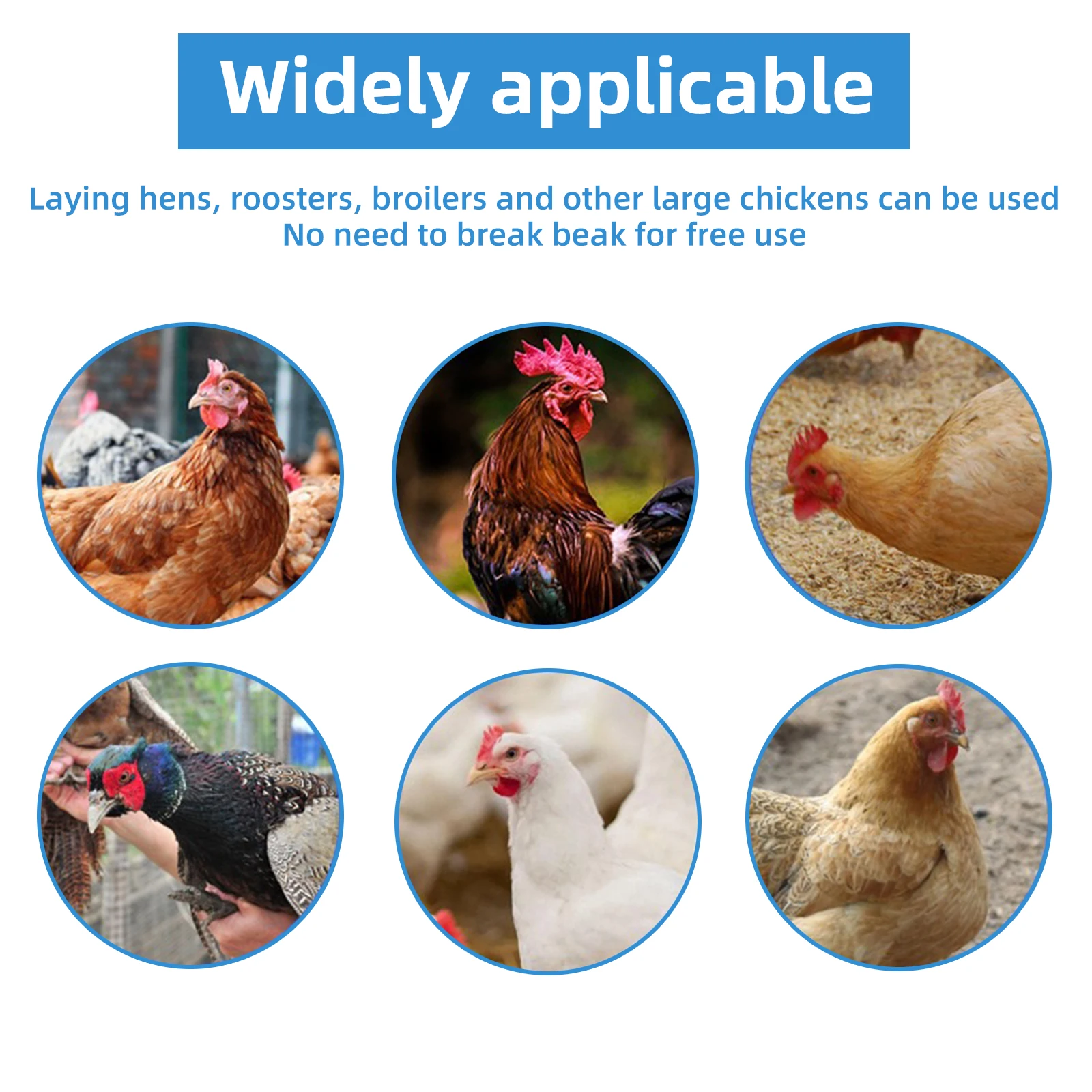 Óculos Anti-bicadas para Aves Sem Parafuso 50 Peças - Imagem 5
