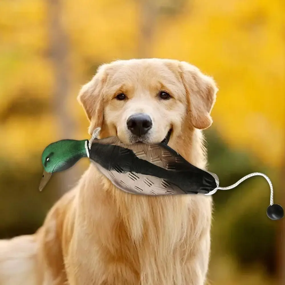 Simulador de Pato para Cães de EVA Flutuante para Treinamento - Imagem 5