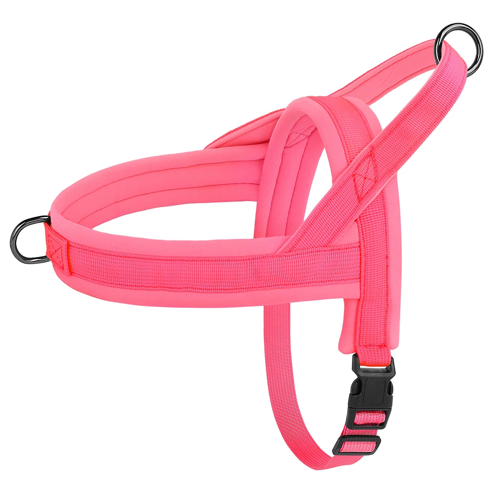 Colete de Nylon Acolchoado para Cães Pequenos Ajustável - Imagem 2