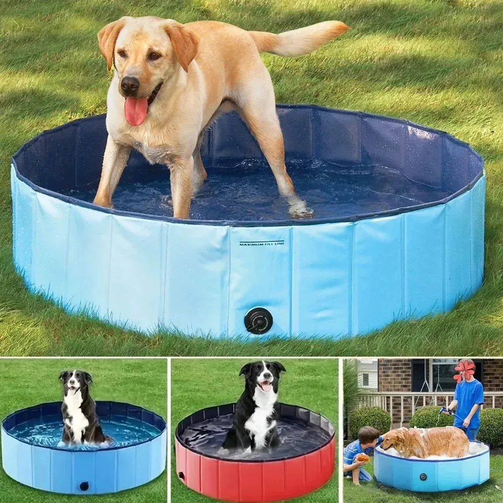 piscina dobrável para cães e gatos