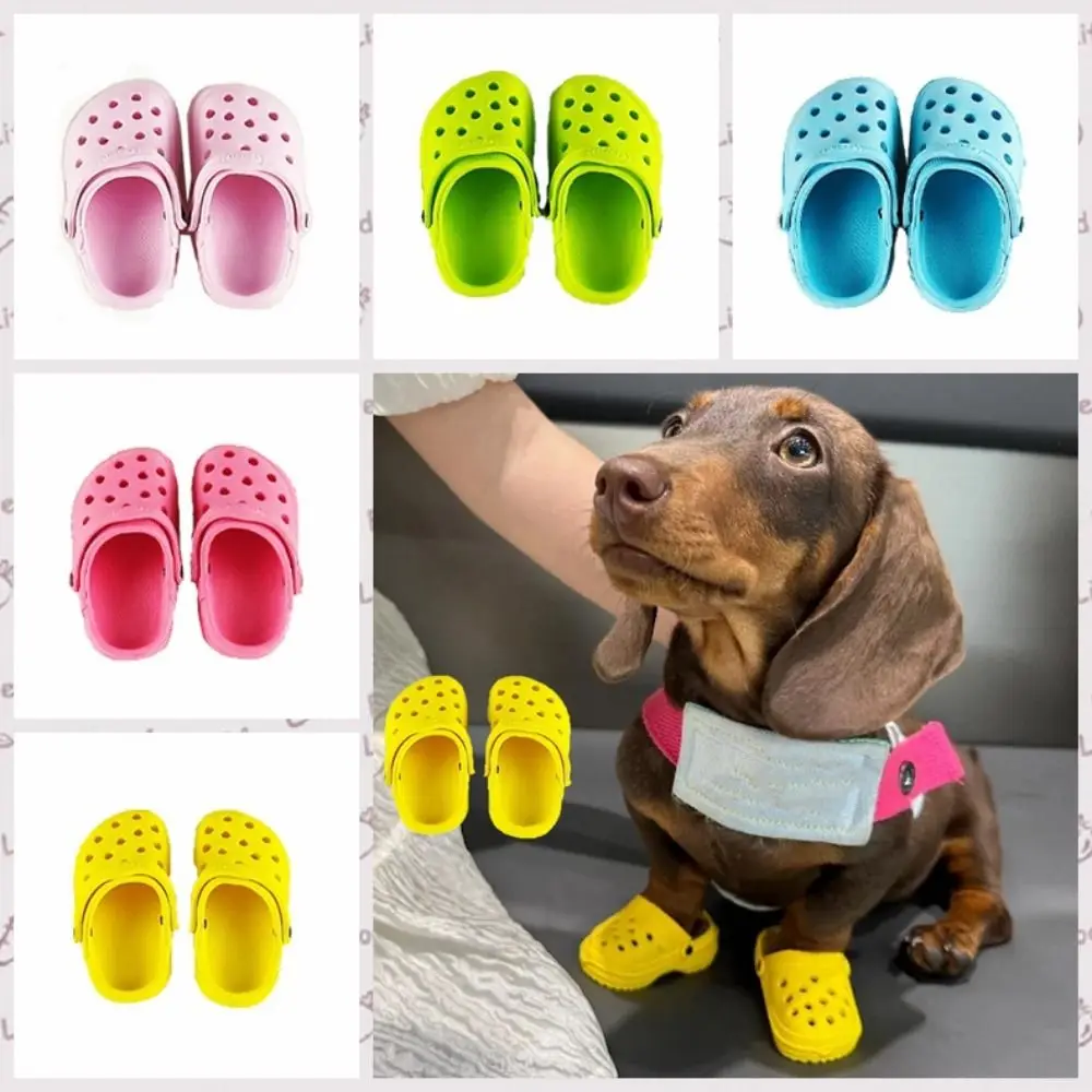 Sandálias para Cães de EVA Leve e Durável para Passeios - Imagem 5