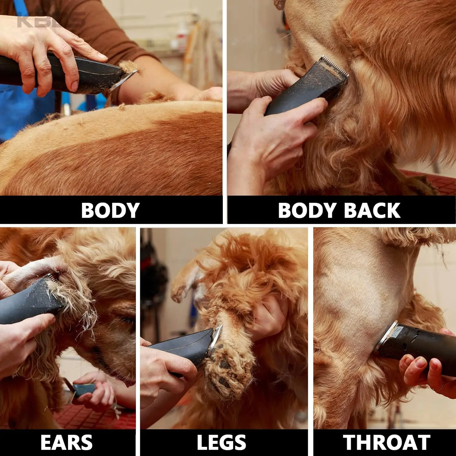 Lâmina de Substituição A5 para Cortador de Cães e Gatos - Imagem 5