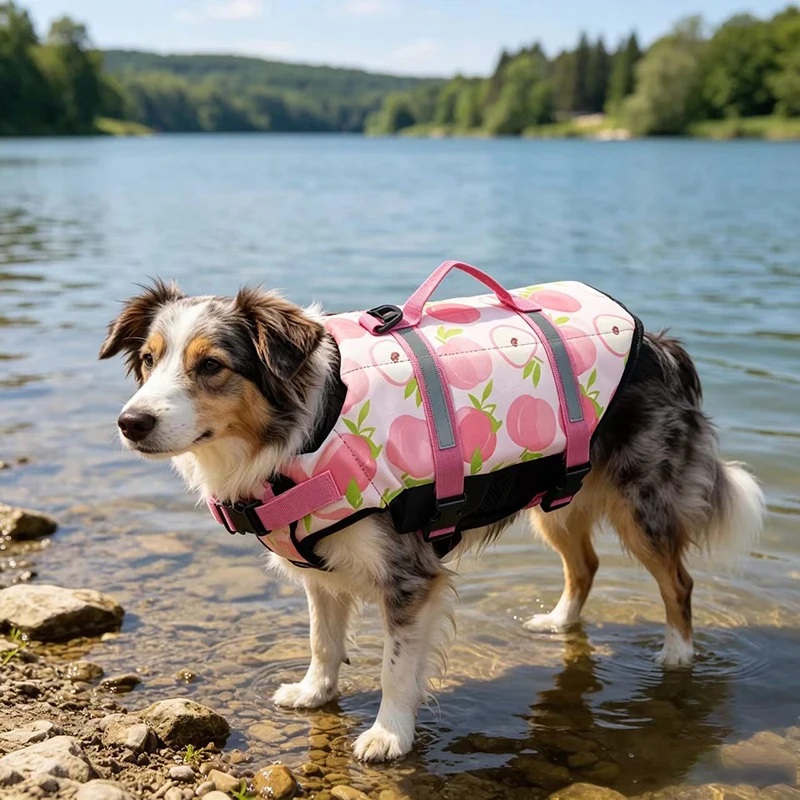 Colete Salva-Vidas para Cães Grandes Ajustável e Refletivo - Imagem 6