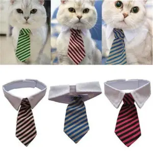 gravata borboleta para cães e gatos