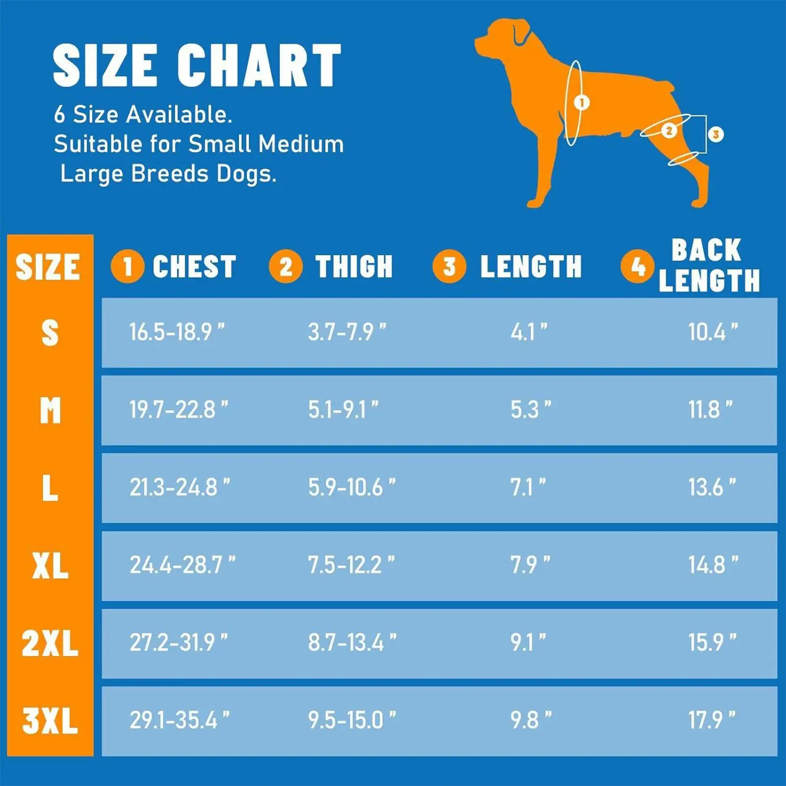 Suporte Ajustável para Pata de Cachorro com 4 Estabilizadores Metálicos - Imagem 6