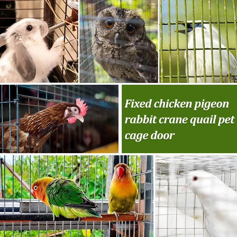 Ganchos de Mola para Gaiola de Coelhos e Aves com Trava de Segurança - Imagem 6