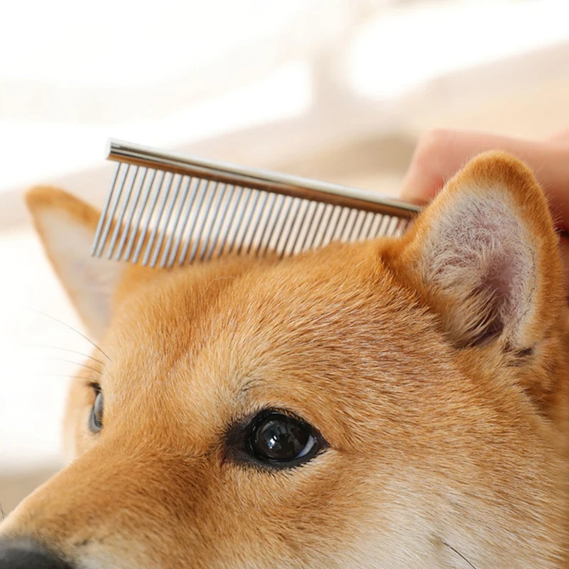 Pente de Aço Inoxidável para Cães e Gatos de 16 ou 19 cm - Imagem 3