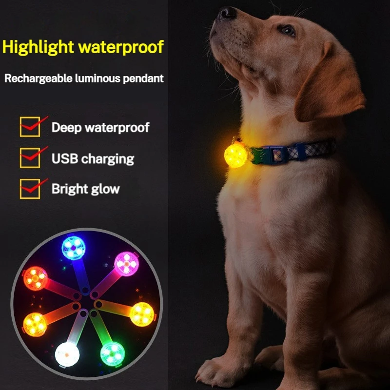 luz led recarregável para coleira de cães