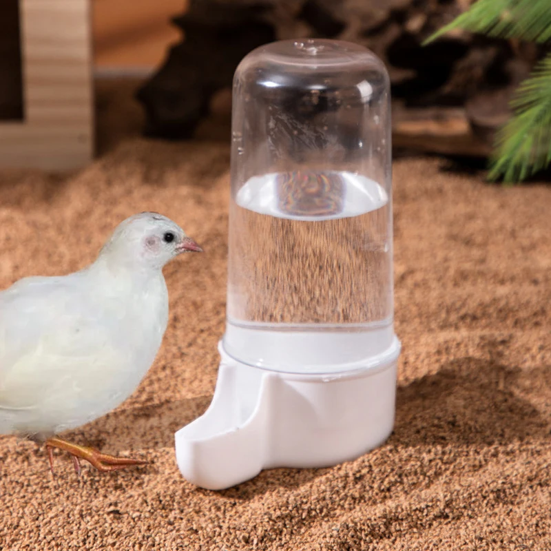 Alimentador Automático para Aves Transparente com Grande Capacidade - Imagem 2