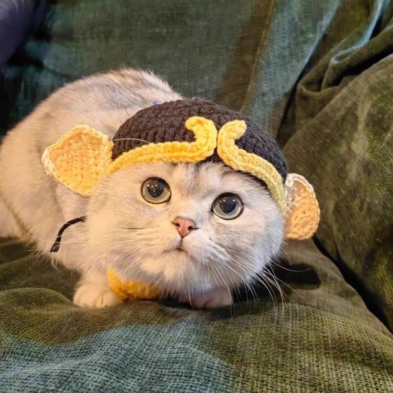 Chapéu para Gatos de Malha Cosplay para Gatos de 2,5 kg a 7,5 kg - Imagem 6