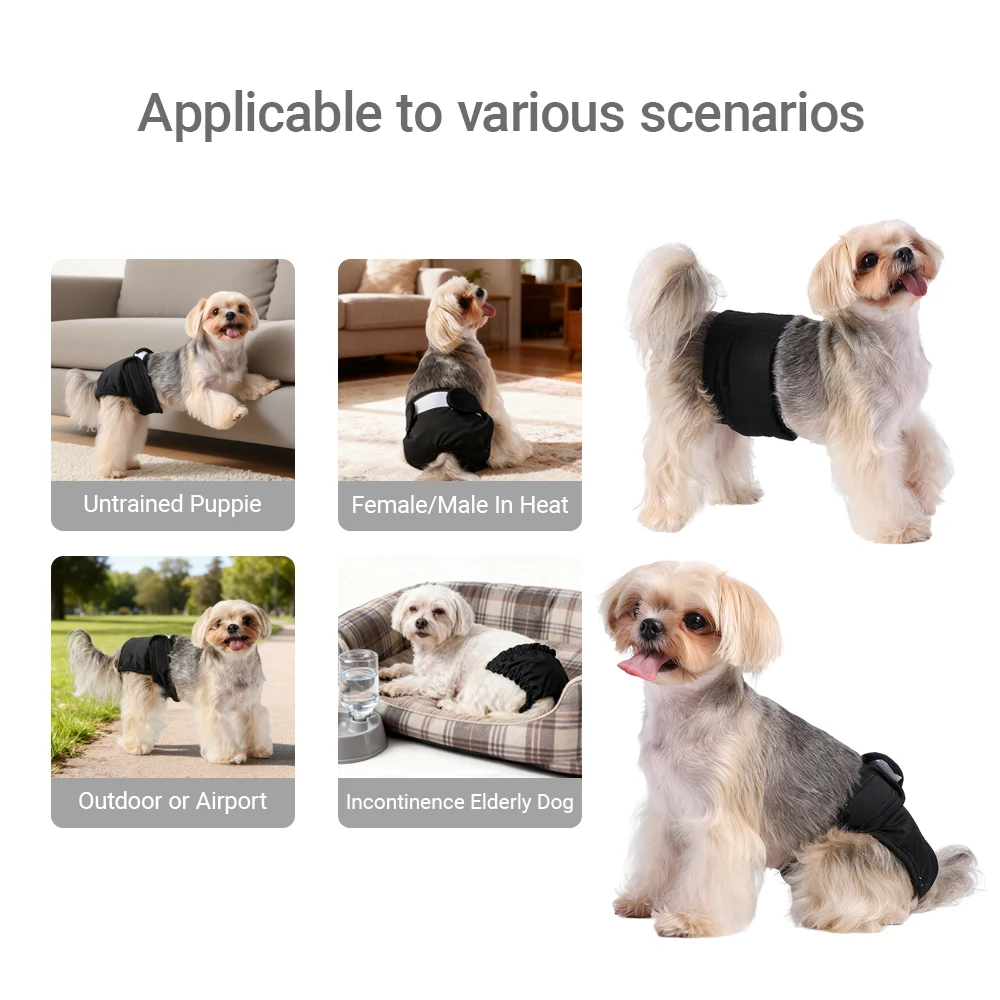 Fralda Lavável para Cães Pequenos e Médios Reutilizável - Image 5