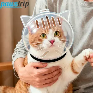 capacete transparente anti-mordida para gatos