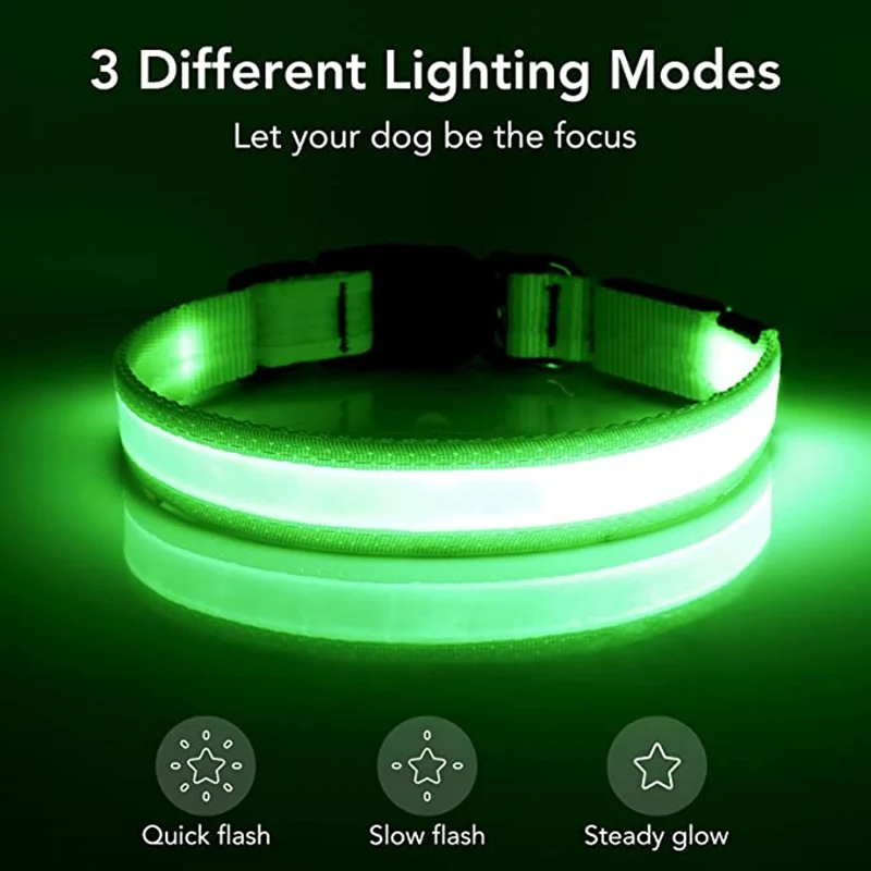 Coleira LED para Cães Ajustável USB Recarregável 2,5 cm de Largura - Imagem 2