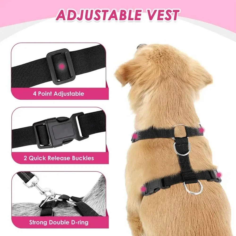 Cinto de Segurança para Cães Ajustável com Elástico - Imagem 6