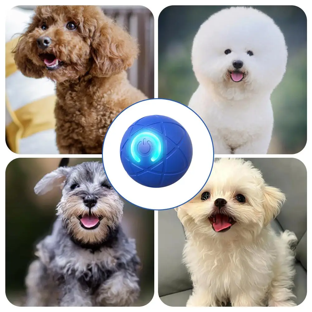 Brinquedo Interativo Eletrônico para Cães USB com Movimento Automático - Imagem 4