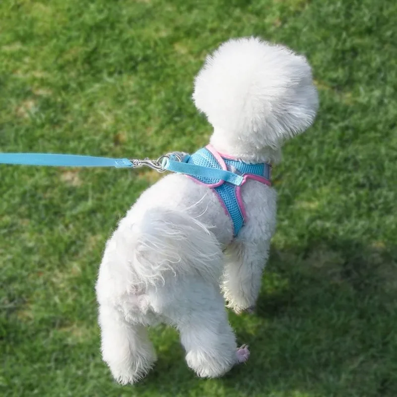 Coleira Peitoral para Cães com Guia Refletiva Ajustável - Imagem 3