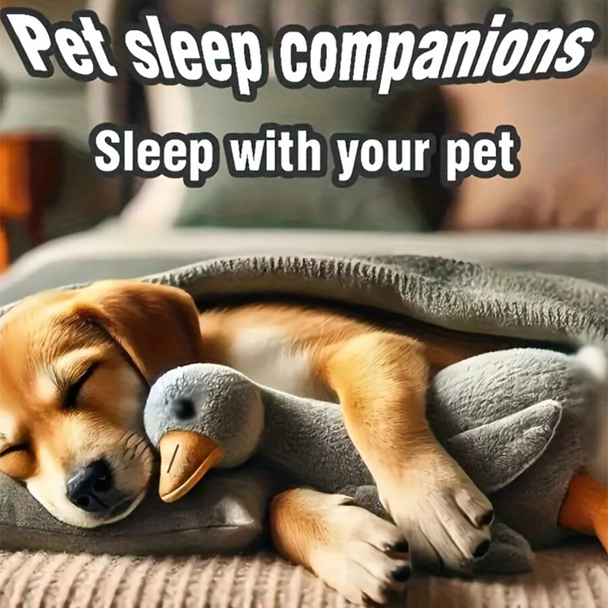 Kit Brinquedos de Pelúcia para Gatos e Cães Pequenos/Médios Interativo - Image 2