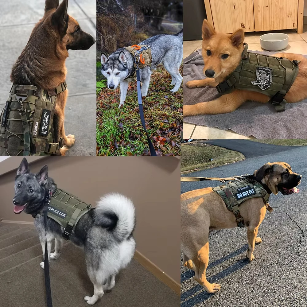 Colete Tático para Cães Grandes de Nylon com Fivela de Liberação Rápida - Image 6