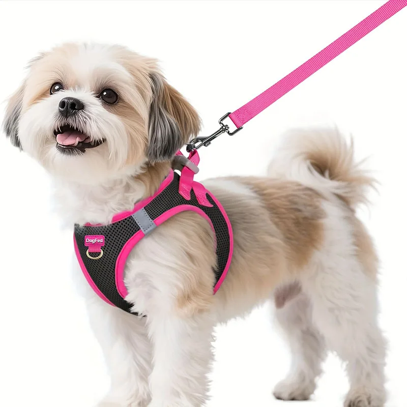 coleira peitoral para cães pequenos refletiva