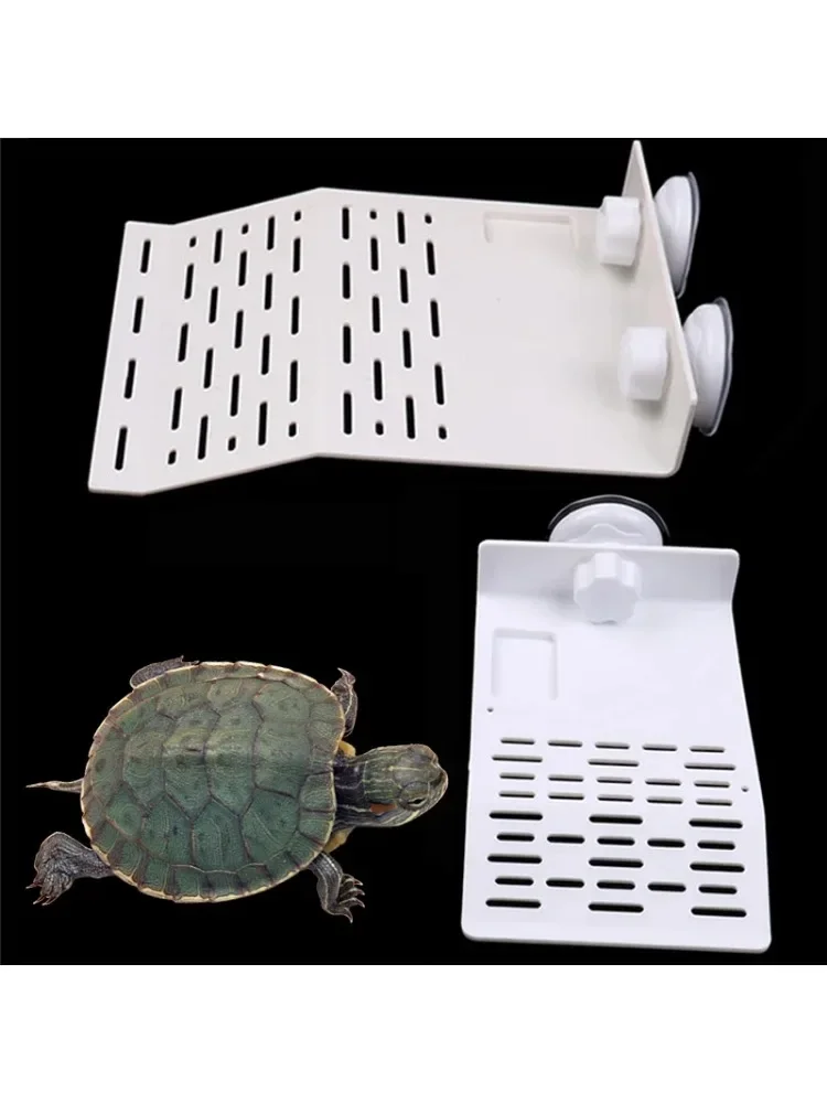 Plataforma de Descanso para Tartarugas com Degraus e Rampa - Image 6