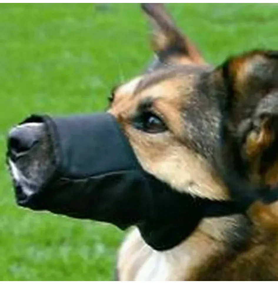 Focinheira de Nylon Macio para Cães com Fivela de Segurança - Image 3