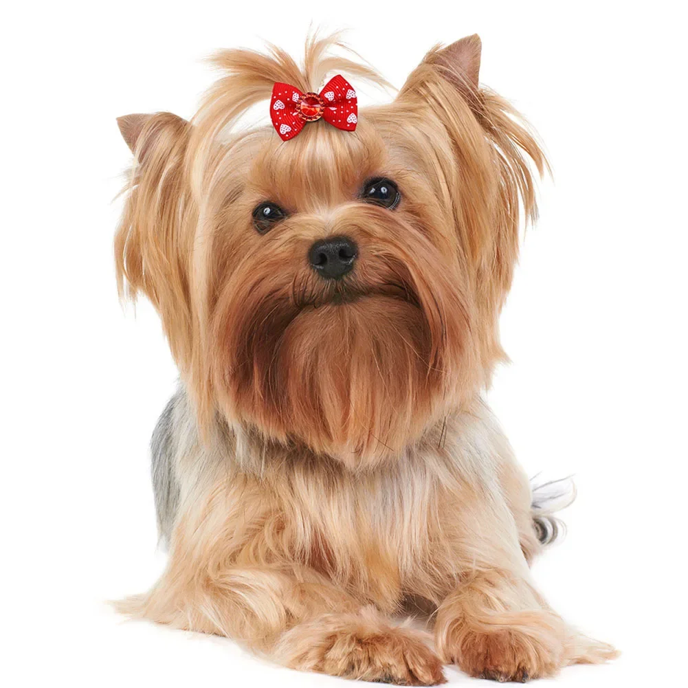 Laço para Cães e Gatos Pequenos de Poliéster 3-4 cm 10 Peças - Imagem 4