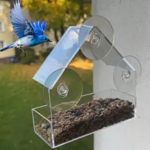 comedouro para pássaros de janela