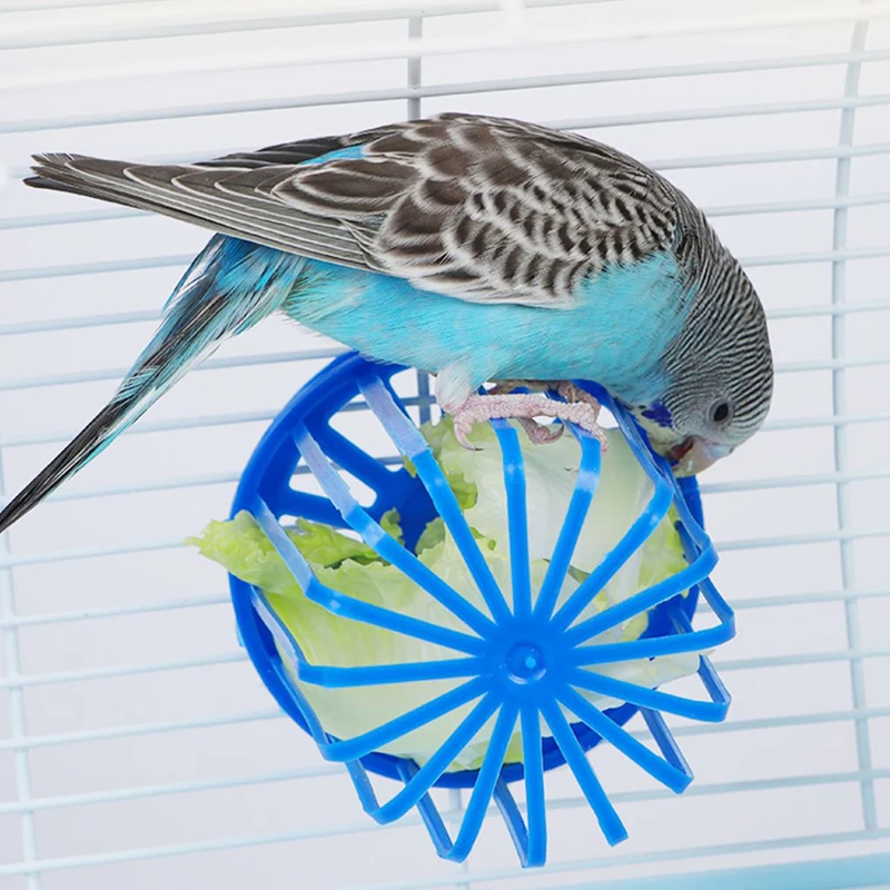 Alimentador para Pássaros e Papagaios com Fivela para Gaiola - Imagem 2