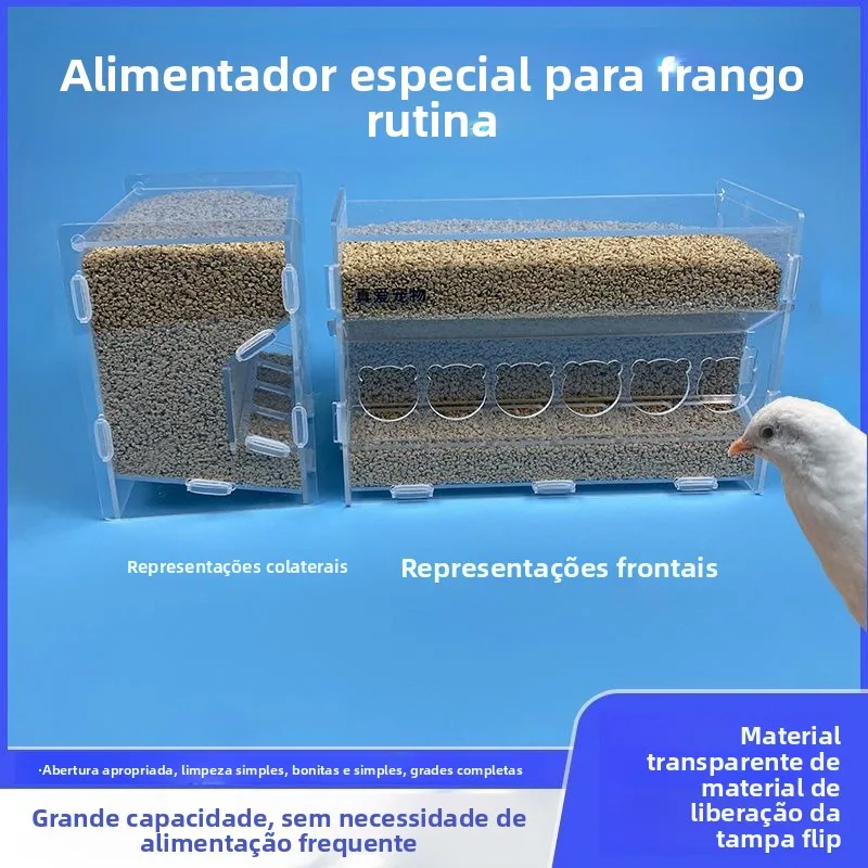 Alimentador Automático para Aves Anti-Derramamento - Imagem 4