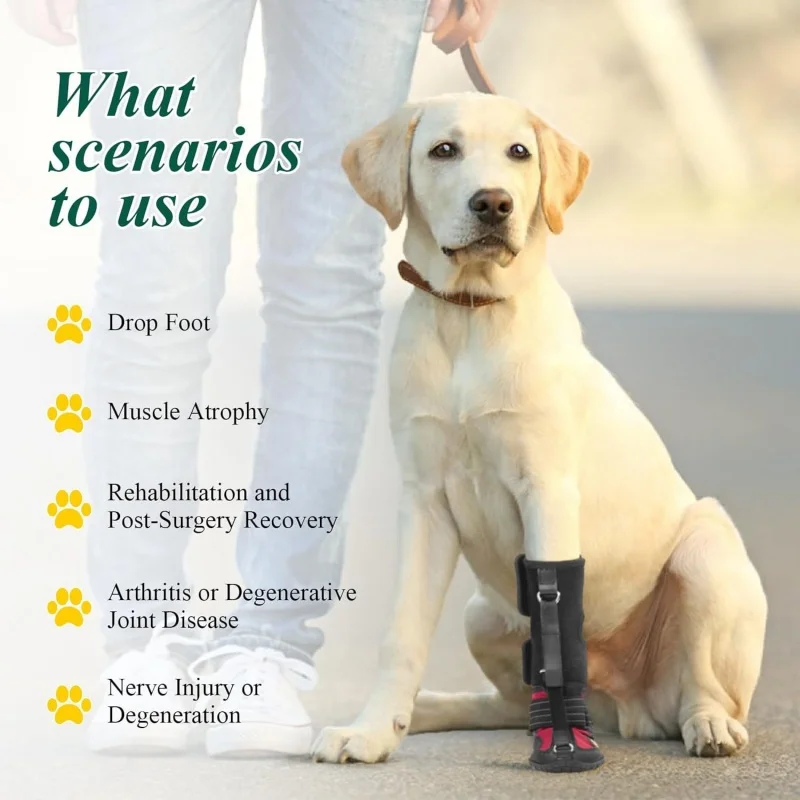 Sapatos Antiderrapantes para Cães com Sola de Borracha Respirável - Image 2