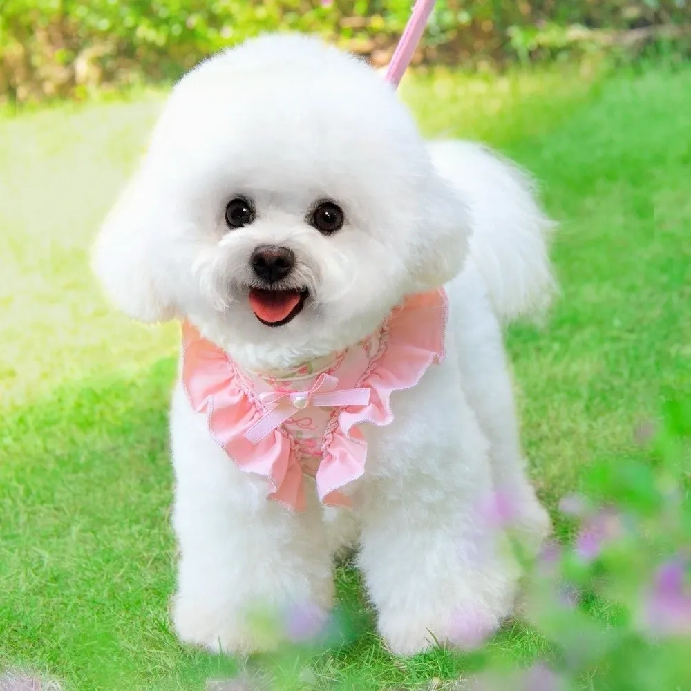 Coleira e Guia para Cães com Estampa Floral, Ajustável - Imagem 3