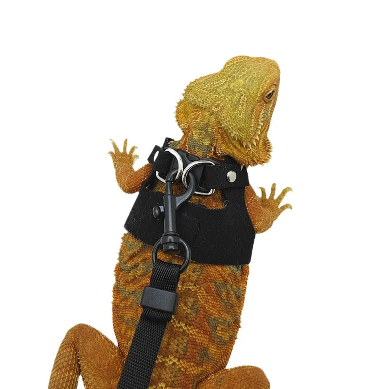 Conjunto de 3 Guias para Lagarto e Camaleão com Arnês Respirável - Imagem 3