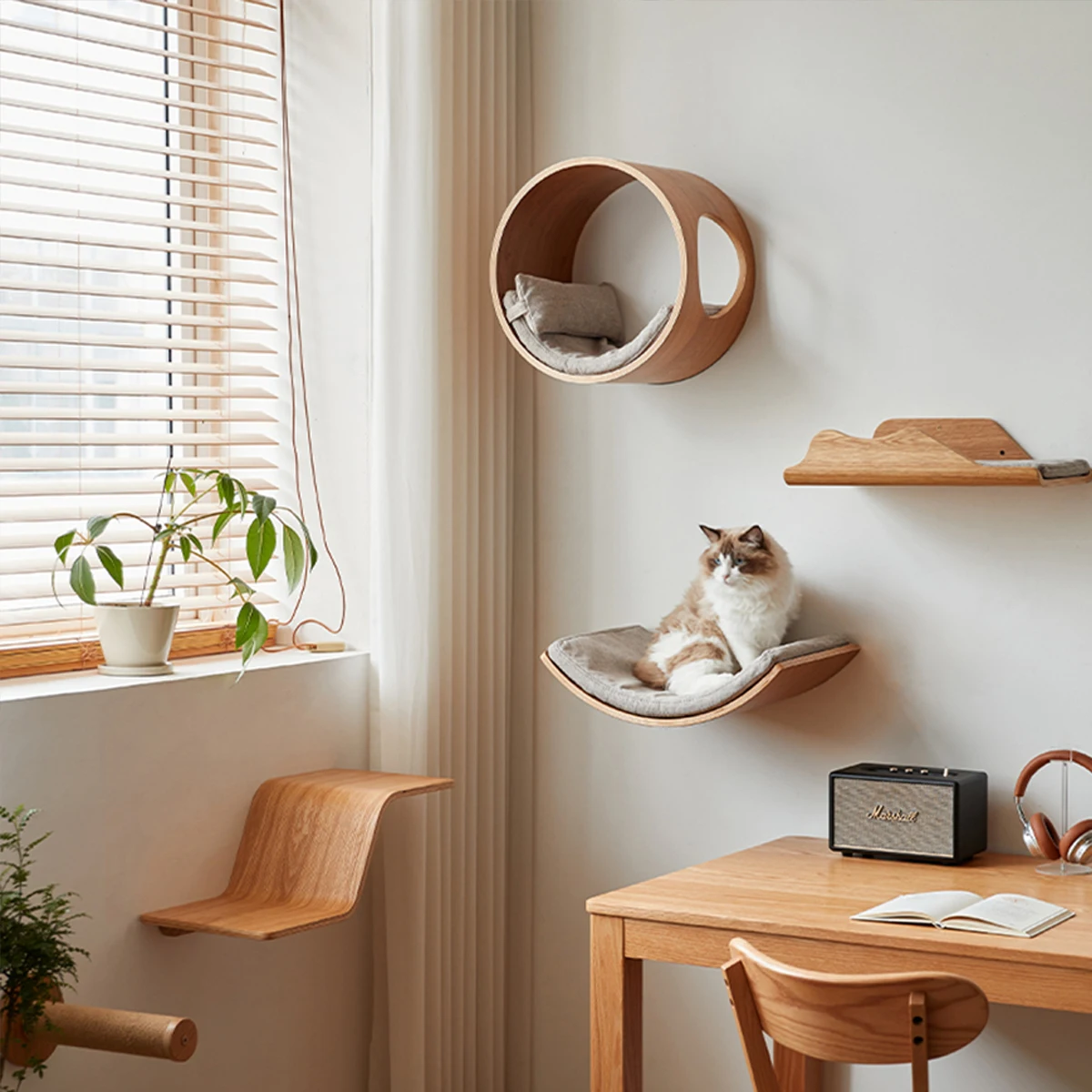 Prateleira de Parede para Gatos com Cama Curvada e Degraus - Imagem 2