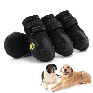 sapatos para cães com sola antiderrapante