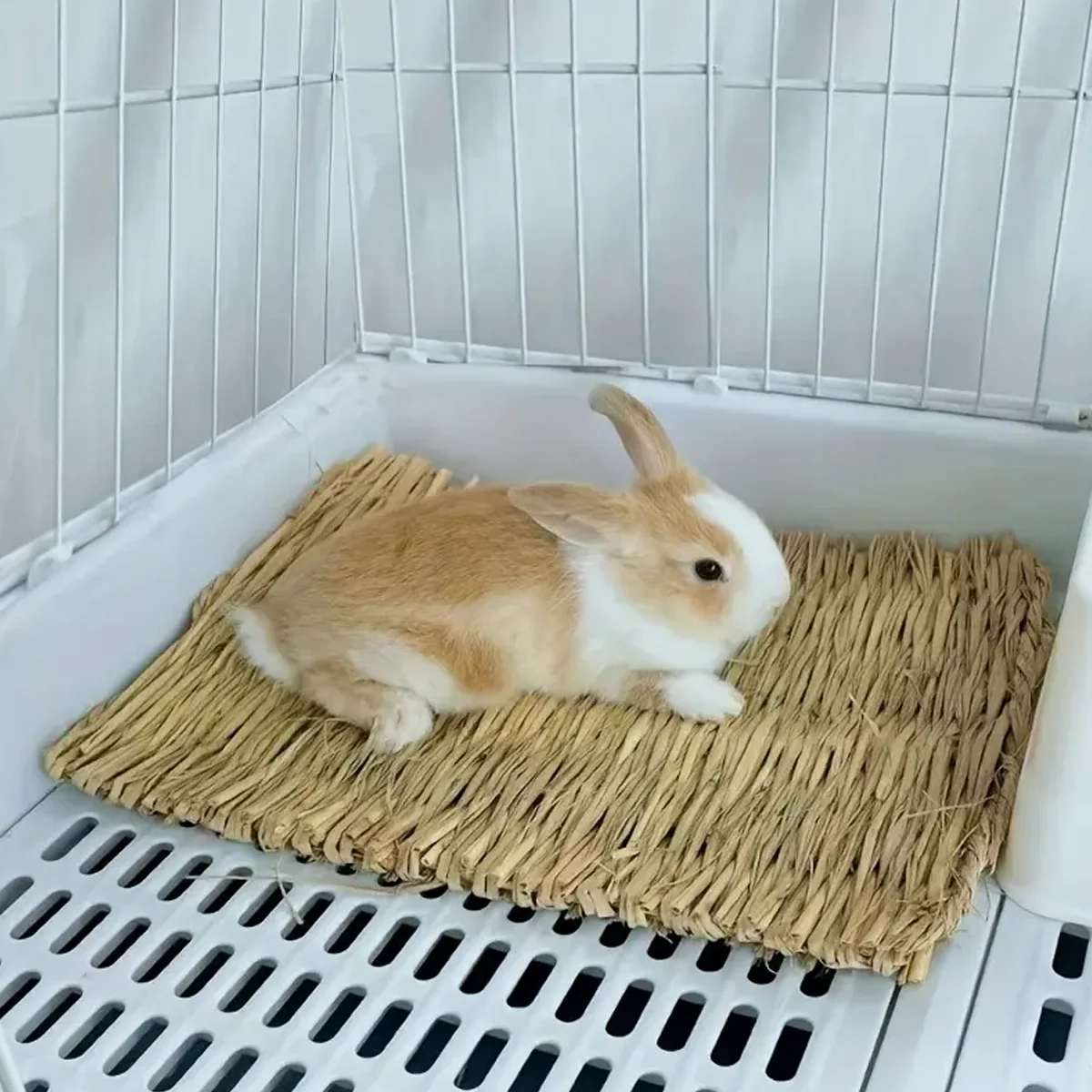Tapete de Grama Trançada para Coelhos - Cama Natural para Gaiola - Imagem 2