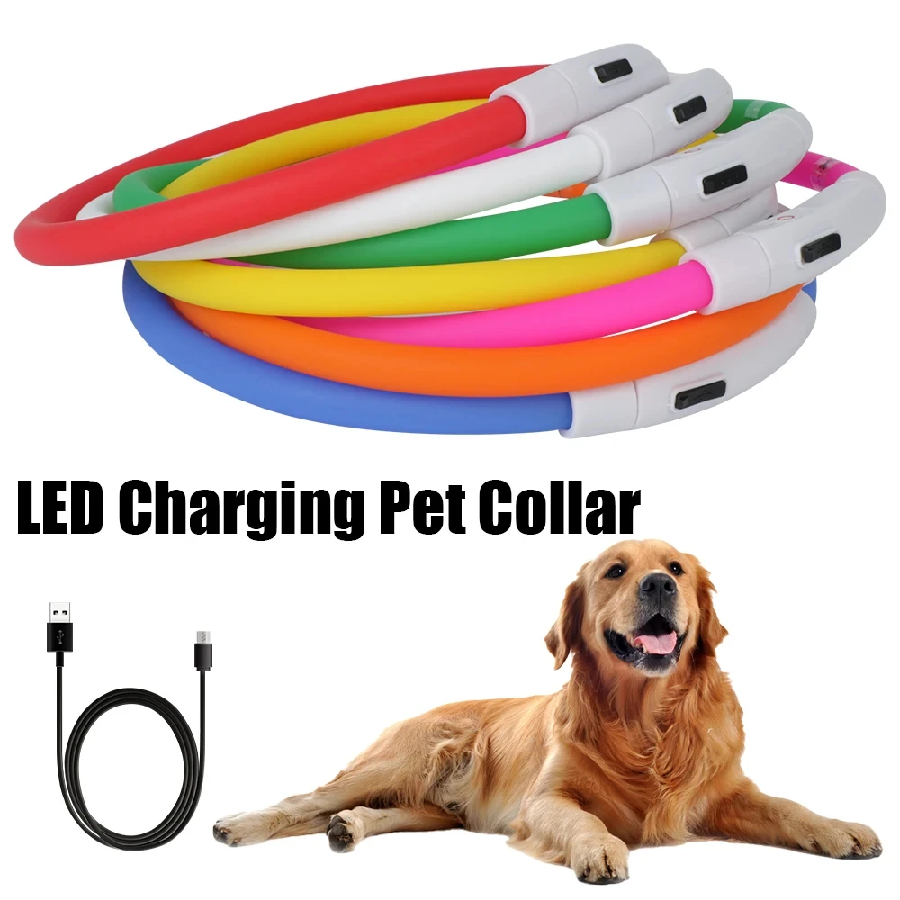 Coleira LED para Cães e Gatos Recarregável USB com 4 Modos de Luz - Image 6