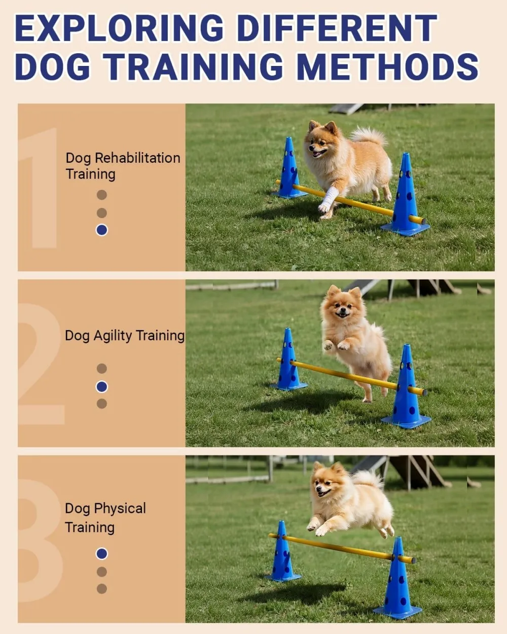 Conjunto de Agilidade para Cães com Barra de Salto para Treinamento - Imagem 4